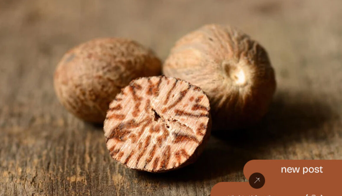 Best-Spice-Supplier-in-Sumatra-–-Indonesia