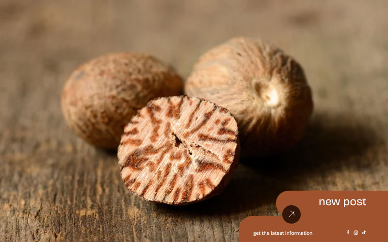 Best-Spice-Supplier-in-Sumatra-–-Indonesia