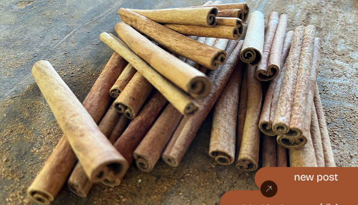 Indonesia’s-Best-Cinnamon-Exports