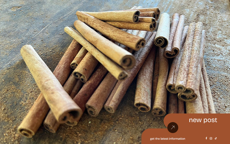 Indonesia’s-Best-Cinnamon-Exports