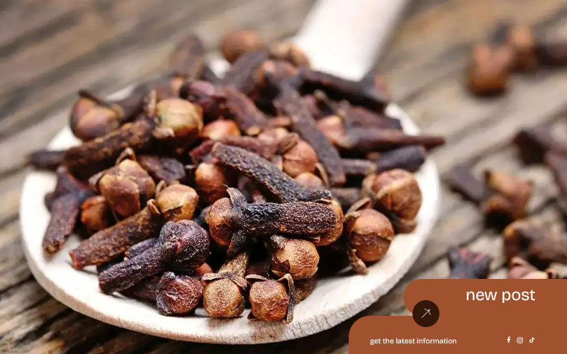 Premium-Cloves-from-the-Heart-of-Indonesia