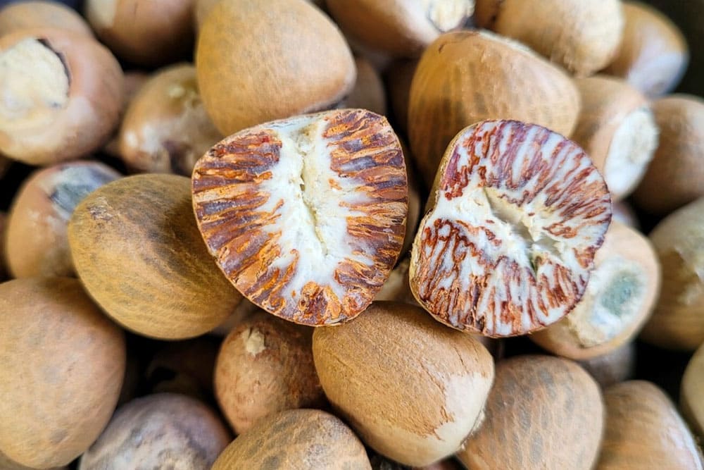 betel-nut-areca-nut