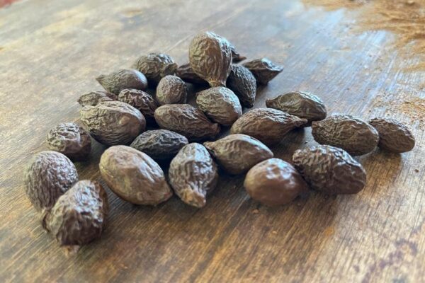 tempayang product (1) tempayang product (1)