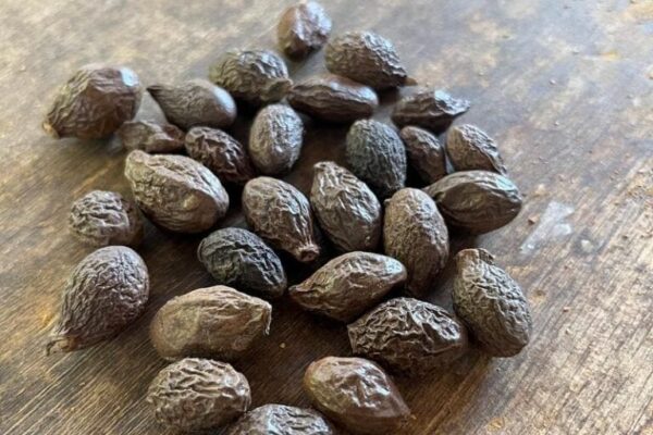 tempayang product (2) tempayang product (2)