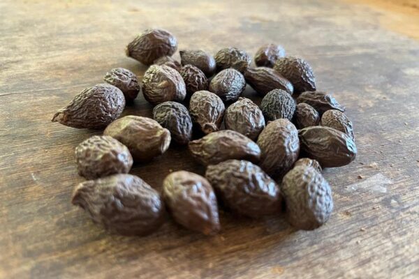 tempayang product (3) tempayang product (3)