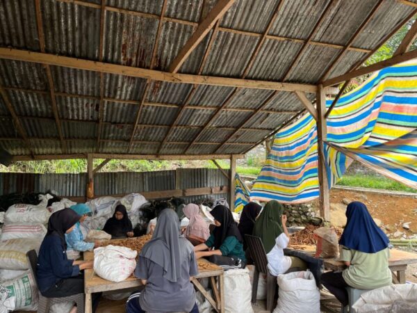 Foto Baru CV Cassiavera Marapi 2