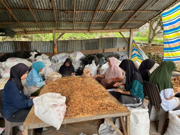 Foto Baru CV Cassiavera Marapi 3